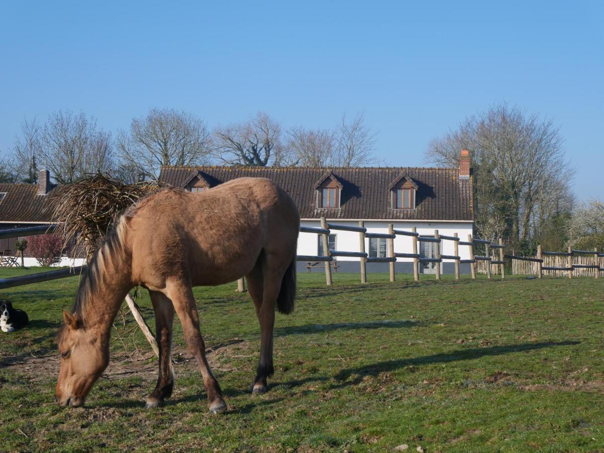 Bed & Breakfast D'hotes Et De La Vieille Ecluse Quend